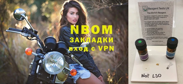 сатива Алзамай