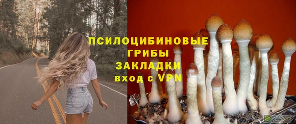 сатива Алзамай