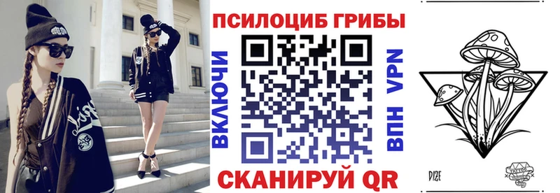 Псилоцибиновые грибы Cubensis Беслан